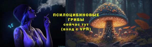 эйфоретик Каменка