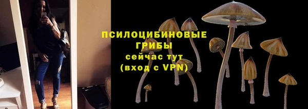 а пвп мука Каменногорск