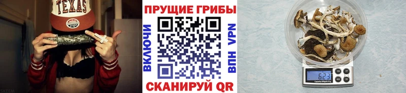 Купить где  Кореновск  Псилоцибиновые грибы Psilocybine cubensis 